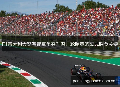 F1意大利大奖赛冠军争夺升温，轮胎策略或成胜负关键